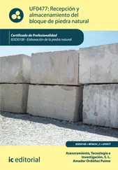 Tecnología e Investigación S.L. Asesoramiento - Recepción y almacenamiento del bloque de piedra natural. IEXD0108
