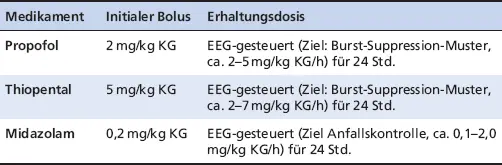 MedikamentInitialer BolusErhaltungsdosis Das vorrangige Therapieziel der - фото 53