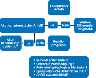 Abb 12 Fragen die nach einem erstmaligen Anfall zu beantworten sind Specht - фото 5