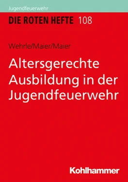 Silke Wehrle Altersgerechte Ausbildung in der Jugendfeuerwehr обложка книги