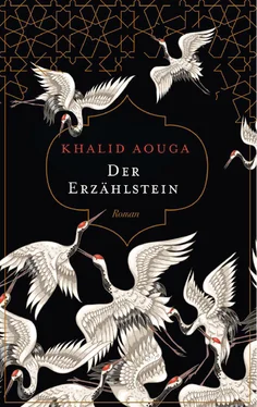 Khalid Aouga Der Erzählstein обложка книги