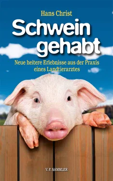 Hans Christ Schwein gehabt обложка книги