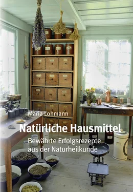 Maria Lohmann Natürliche Hausmittel обложка книги