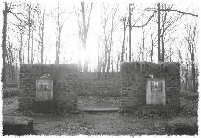 Still und verwunschen ruht der Matronatempel in Pesch NordrheinWestfalen im - фото 9
