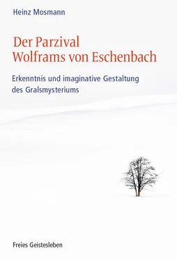 Heinz Mosmann Der Parzival Wolframs von Eschenbach обложка книги