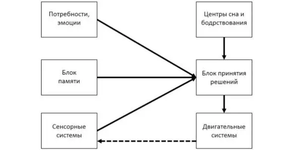 Как вы видите на рисунке система представлена несколькими блоками Суть - фото 1
