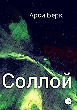 Арси Берк Соллой обложка книги