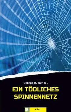 George B. Wenzel Ein tödliches Spinnennetz обложка книги