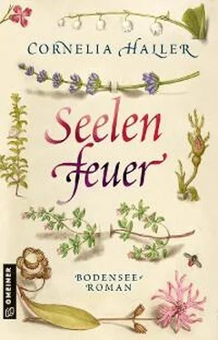 Cornelia Haller Seelenfeuer обложка книги