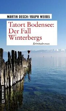 Martin Oesch Tatort Bodensee: Der Fall Winterbergs обложка книги