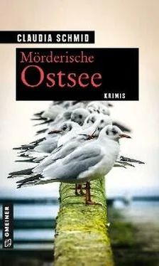 Claudia Schmid Mörderische Ostsee обложка книги