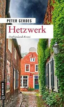 Peter Gerdes Hetzwerk обложка книги