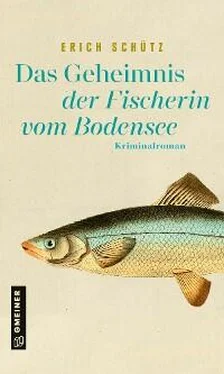 Erich Schütz Das Geheimnis der Fischerin vom Bodensee обложка книги