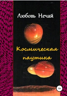 Любовь Нечай Космическая паутина обложка книги