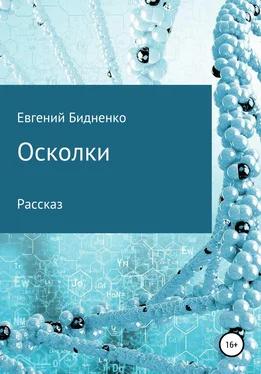Евгений Бидненко Осколки обложка книги