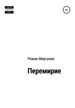 Роман Моргунов Перемирие обложка книги