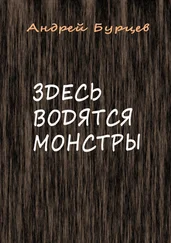 Андрей Бурцев - Здесь водятся монстры