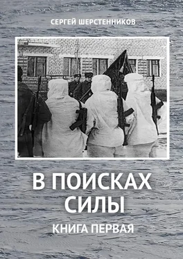 Сергей Шерстенников В поисках силы. Книга первая обложка книги