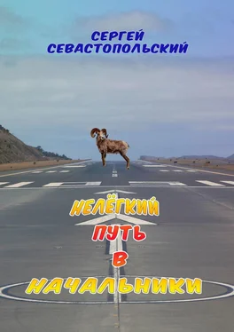 Сергей Севастопольский Нелёгкий путь в начальники обложка книги
