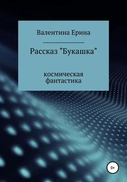 Валентина Ерина Букашка обложка книги