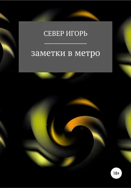 Игорь Север fb:заметки в метро обложка книги
