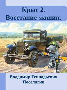 Владимир Поселягин Крыс 2. Восстание машин. обложка книги