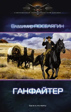 Владимир Поселягин Ганфайтер (СИ) обложка книги