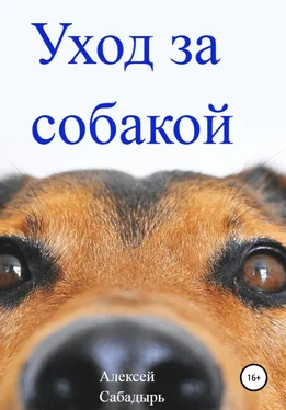 Алексей Сабадырь Уход за собакой обложка книги