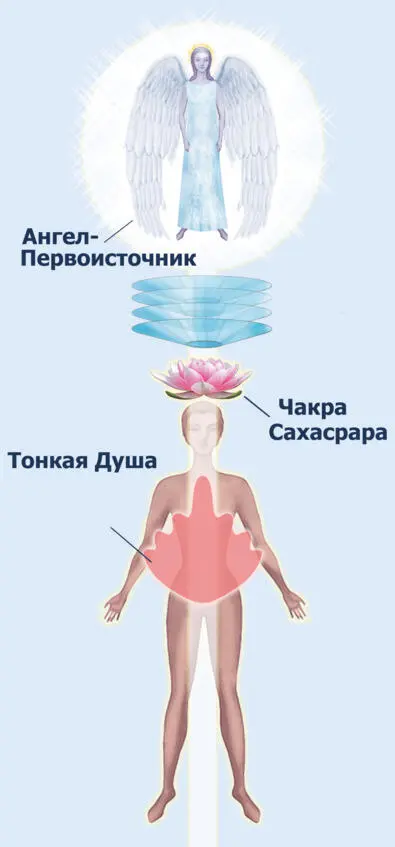 Рис 16 Расположение АнгелаПервоисточника он получает эту энергию которая - фото 20