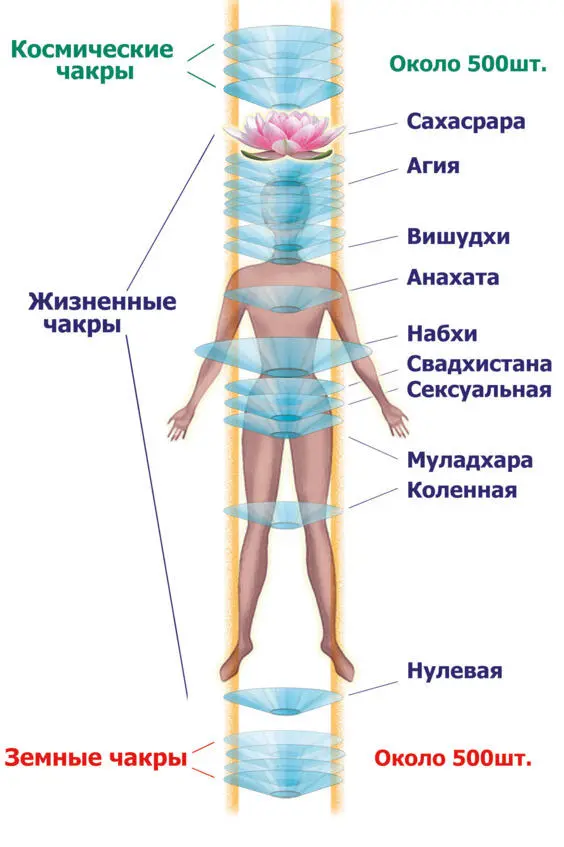 Рис21 Чакровая структура человека ми хотя на данный момент эта - фото 5