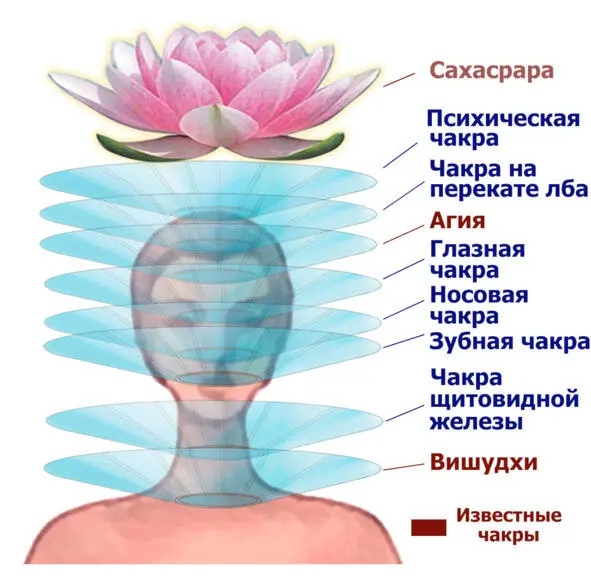 Рис 22 Чакры головы Данная энергия существует у каждого человека и - фото 6