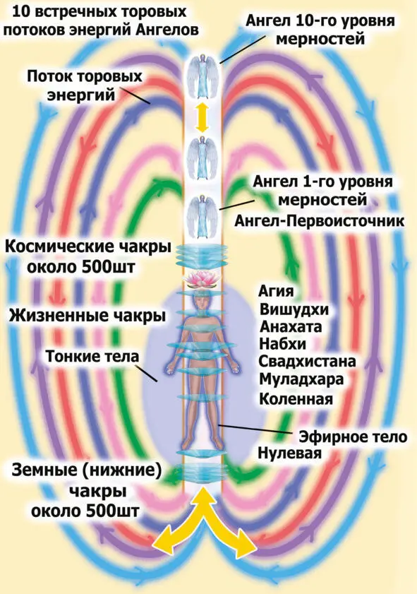 Рис3 Ориентировочное устройство энергетической структуры человека Если - фото 7