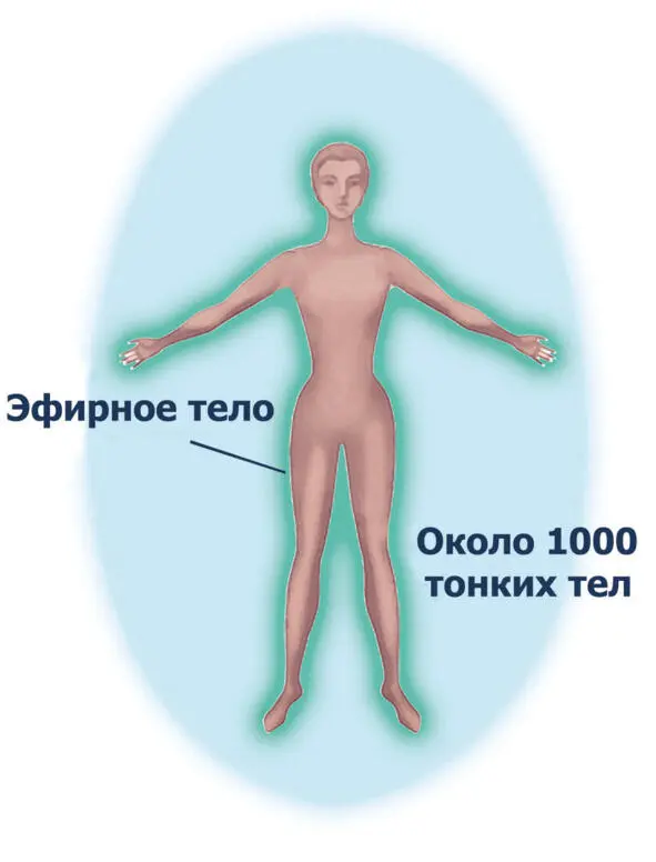 Рис4 Расположение и форма тонких тел Для чего нужно очищать тонкие тела - фото 8