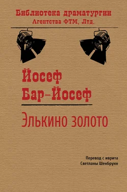 Йосеф Бар-Йосеф Элькино золото обложка книги