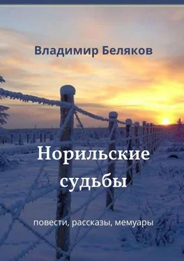 Владимир Беляков Норильские судьбы. Повести, рассказы, мемуары обложка книги