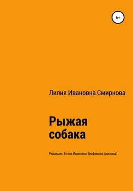 Лилия Смирнова Рыжая собака обложка книги