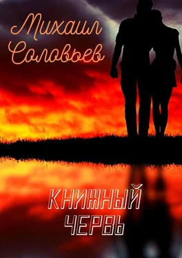 Михаил Соловьев Книжный червь. Повесть обложка книги