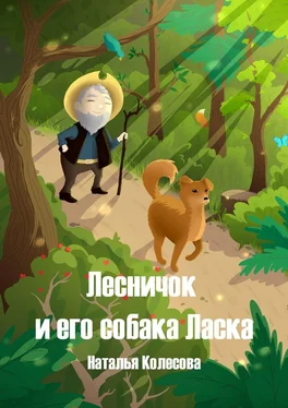 Наталья Колесова Лесничок и его собака Ласка обложка книги