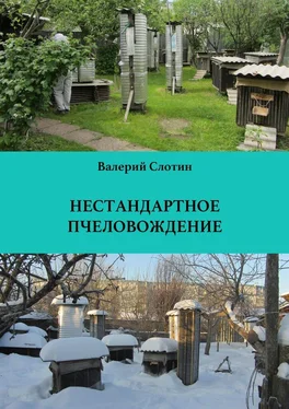 Валерий Слотин Нестандартное пчеловождение обложка книги