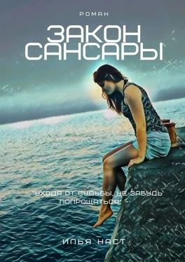 Илья Наст Закон Сансары обложка книги