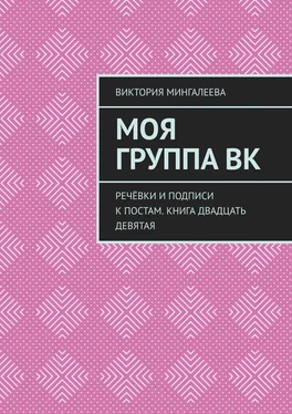 Виктория Мингалеева Моя группа ВК. Речёвки и подписи к постам. Книга двадцать девятая обложка книги