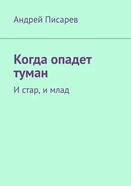 Андрей Писарев Когда опадет туман. И стар, и млад обложка книги