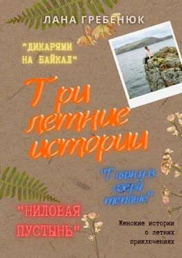 Лана Гребенюк Три летние истории обложка книги