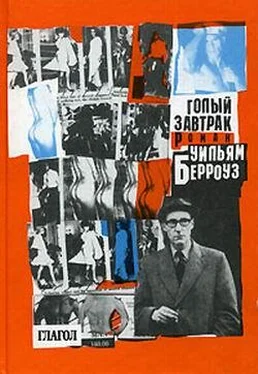 Голый завтрак, Уильям Берроуз – скачать книгу fb2, epub, pdf на ЛитРес