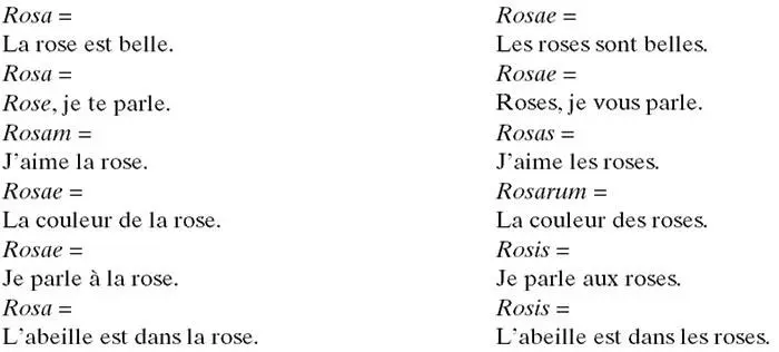 Les mots de la deuxième déclinaison se terminent par us et sont masculins Je - фото 1