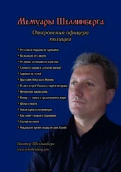 Гюнтер Шеллинберг - Мемуары Шеллинберга. Откровения офицера полиции