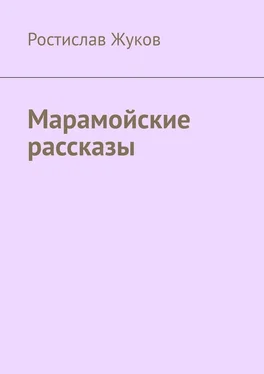 Ростислав Жуков Марамойские рассказы обложка книги