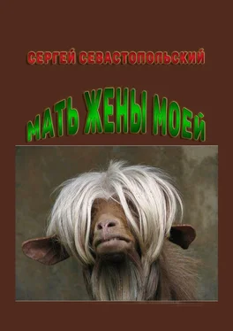 Сергей Севастопольский Мать жены моей обложка книги