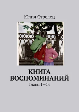 Юлия Стрелец Книга воспоминаний. Главы 1—14 обложка книги