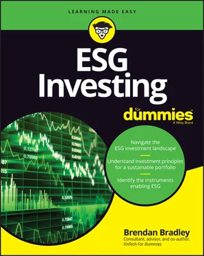 Brendan Bradley ESG Investing For Dummies обложка книги